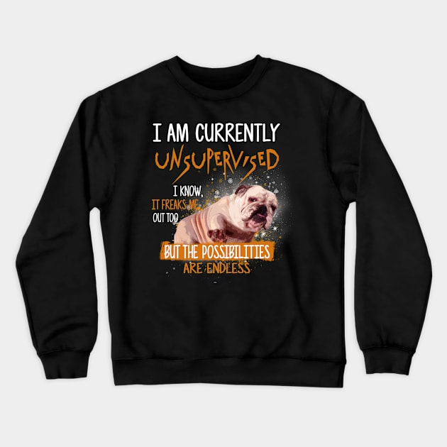 I Am Currently Unsupervised I Know, It Freaks Me Out Too But The Possibilities Are Endless Crewneck Sweatshirt by teestore_24